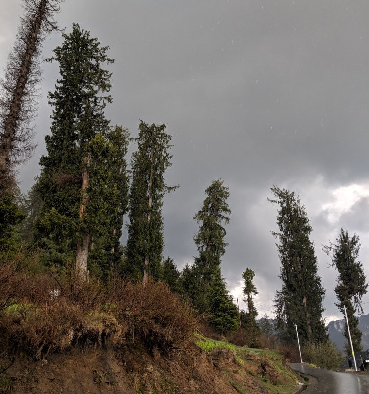 Satyam Home Stay主图