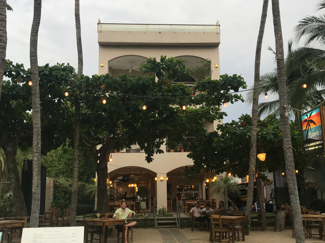 La Gaviota Tropical主图