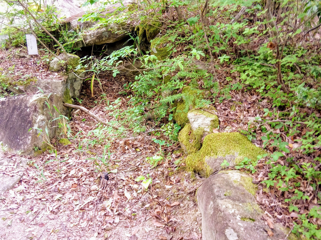 Mt. Inoko-东近江市必去景点