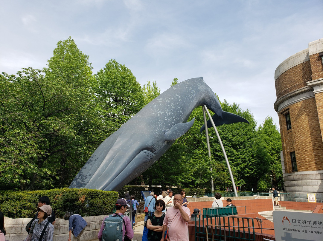 Blue Whale Full Size Model-Uenokoen必去景点