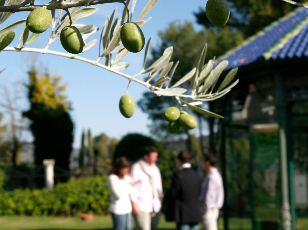 La Finca El Bosque主图