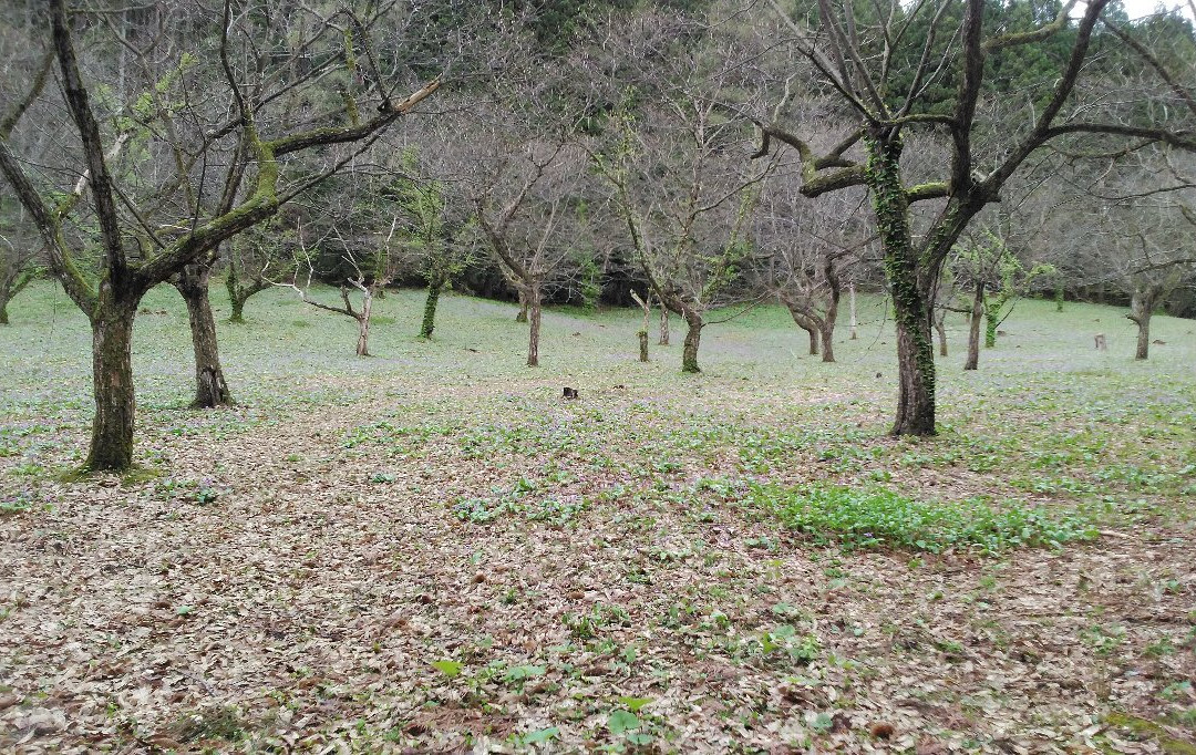 Katakurikan-仙北市必去景点
