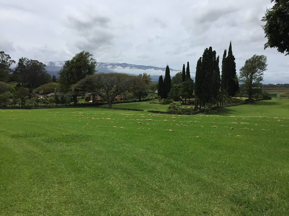 Hui No‘eau Visual Arts Center-马卡瓦必去景点