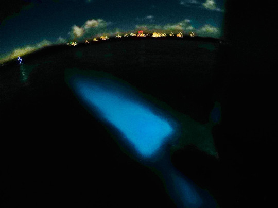 El Viequense Sea Tours-维切克岛必去景点