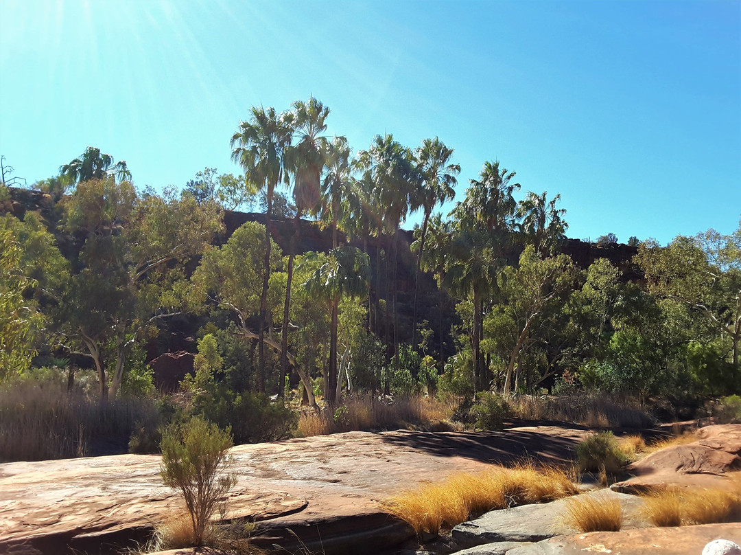 Finke Gorge National Park景点图片