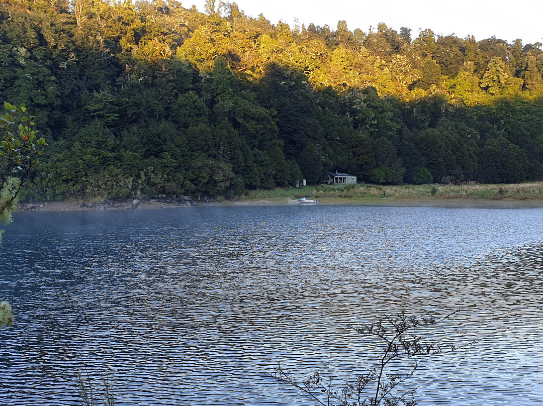 Lake Waikaremoana Great Walk景点图片