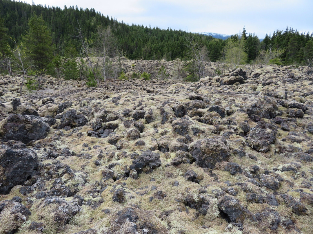 Nisga'a Memorial Lava Bed Park景点图片