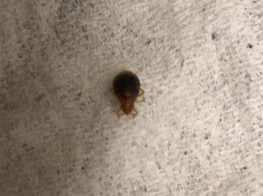 Key West Inn - Wetumpka主图