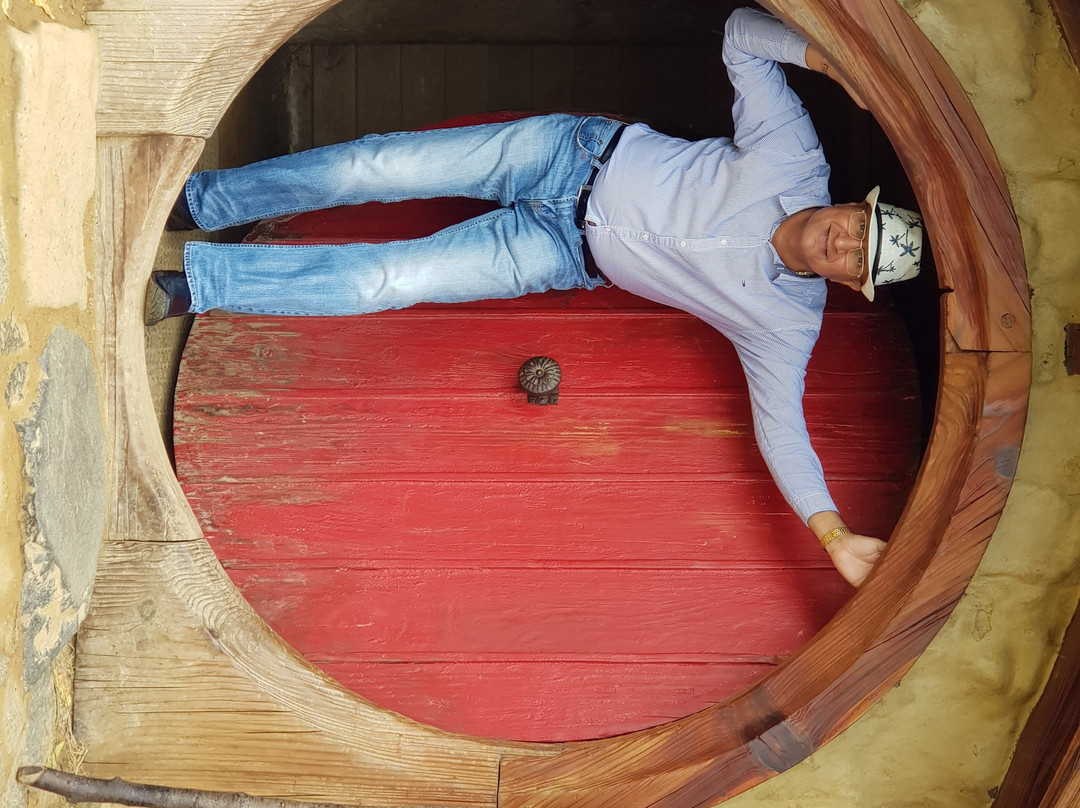 Maxwell Services-奥克兰中心地区必去景点