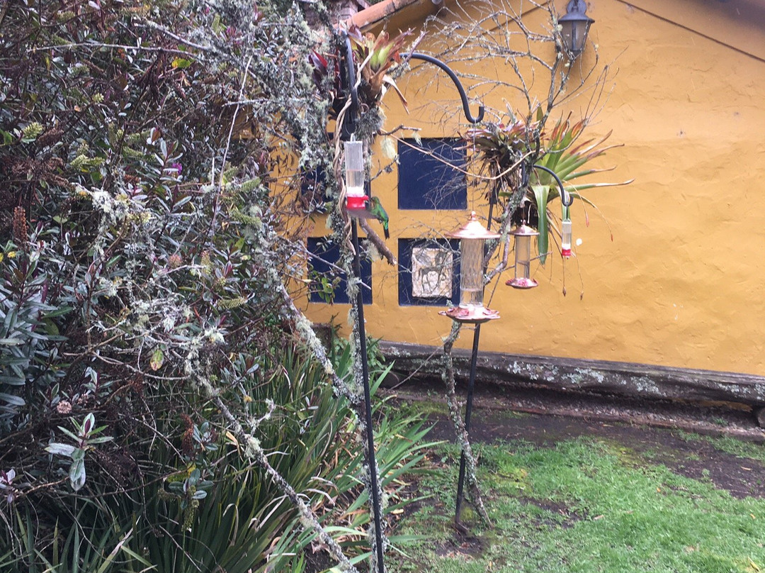 Observatorio de Colibries