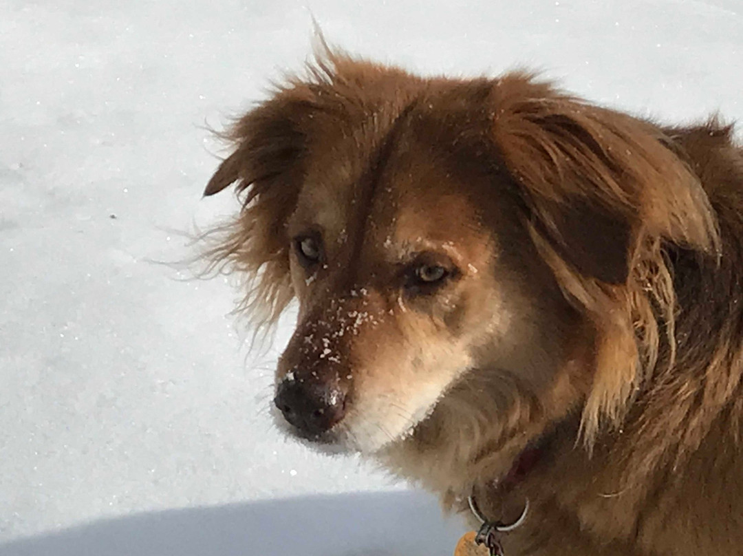 Huckleberry Hill Bed and Breakfast主图