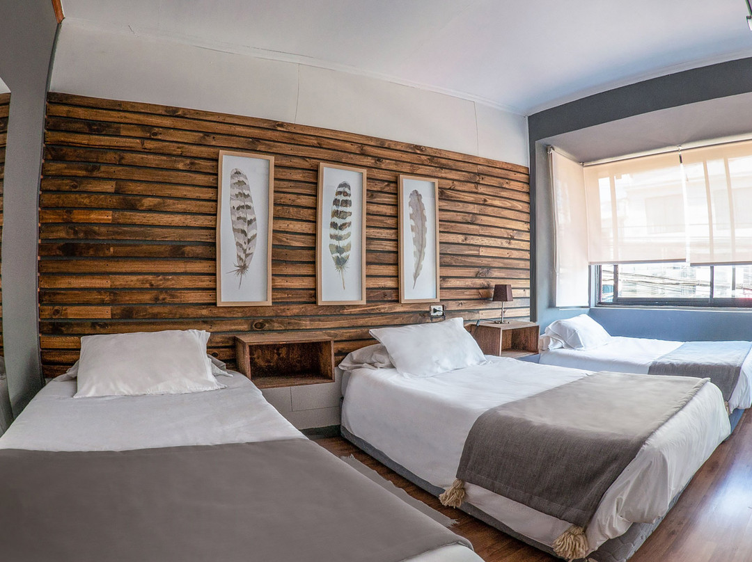 Hotel Etnico Bio Bio主图