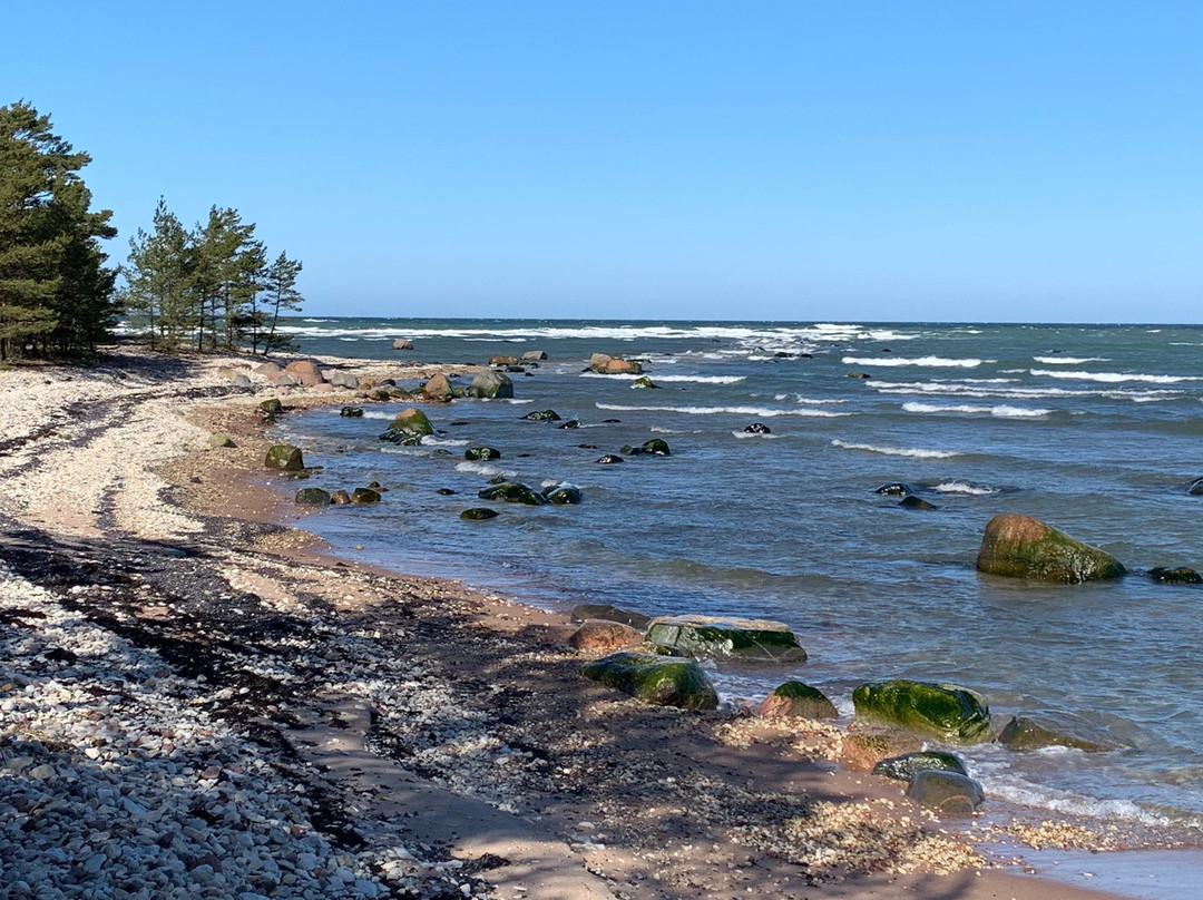 Kardla Beach Park景点图片