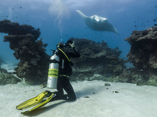 Lady Elliot Island Dive Shop-埃里奥特夫人岛必去景点