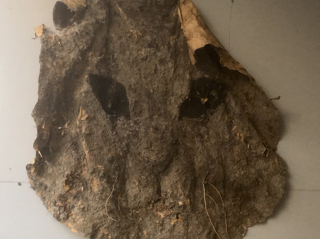 R16 Studio-Nishi必去景点