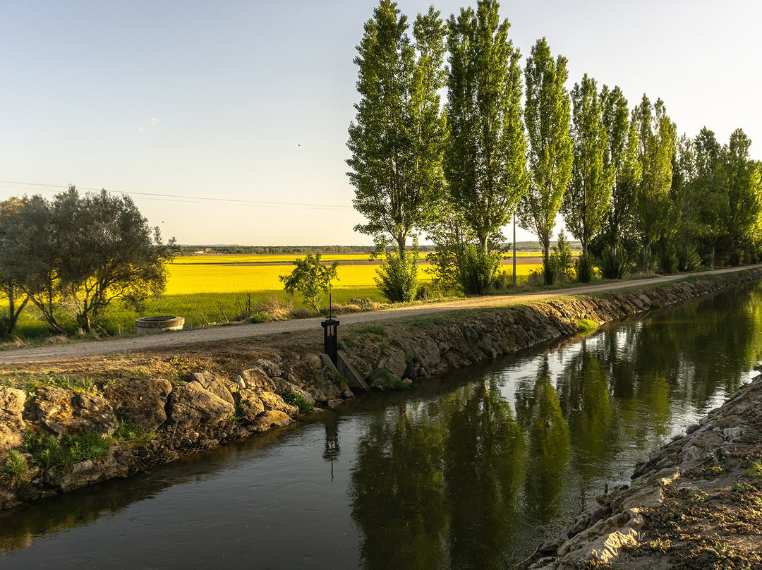Bodegas Tarsila-瓦拉杜利德必去景点