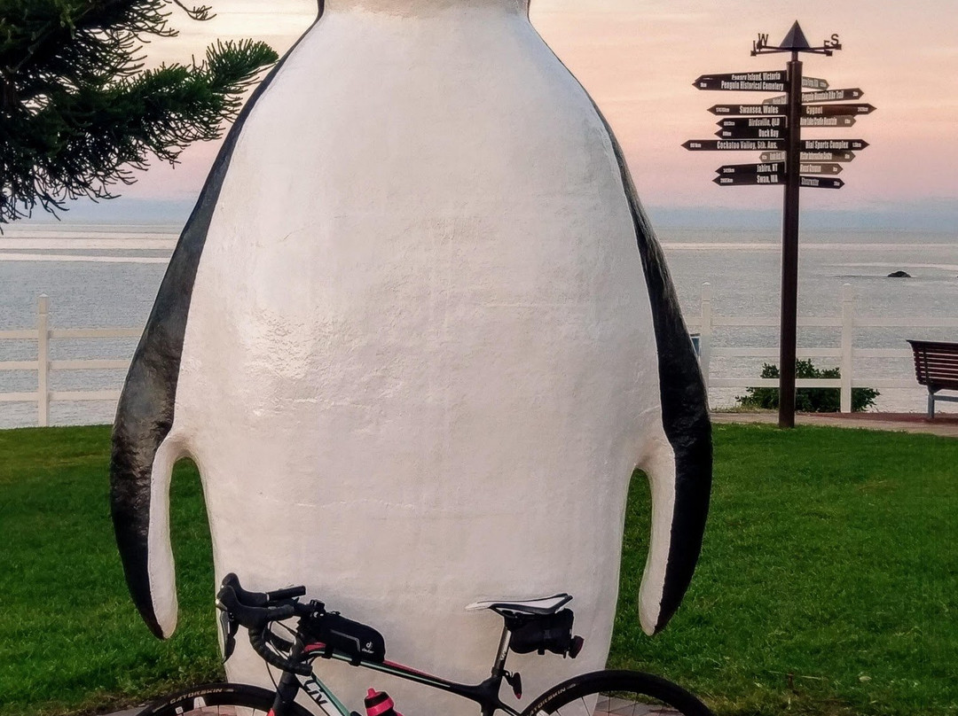 Big Penguin-企鹅岛必去景点