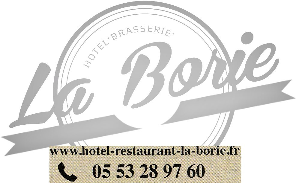 Logis Hôtel La Borie主图