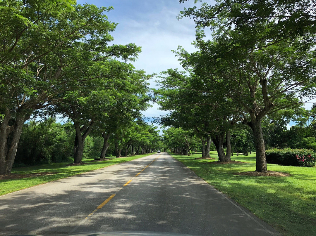 劳劳湾高尔夫&度假酒店主图