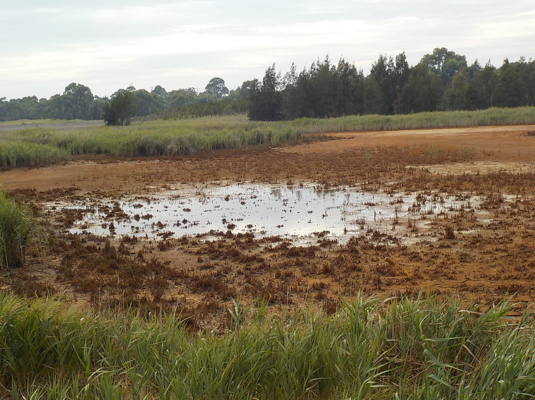 Edithvale-Seaford Wetlands-锡福德必去景点
