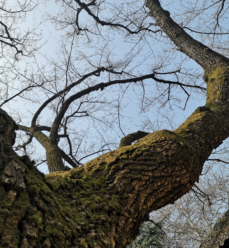 颐和路公馆区-南京市必去景点