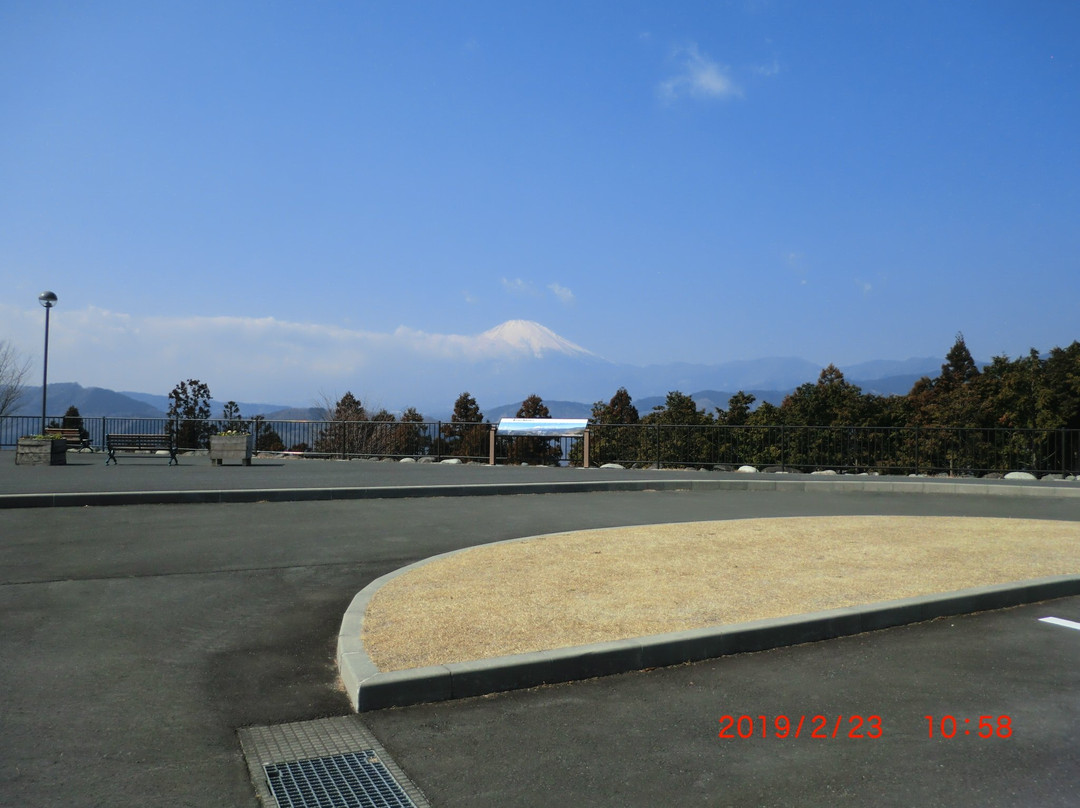 Yamakita Tsuburano Park景点图片