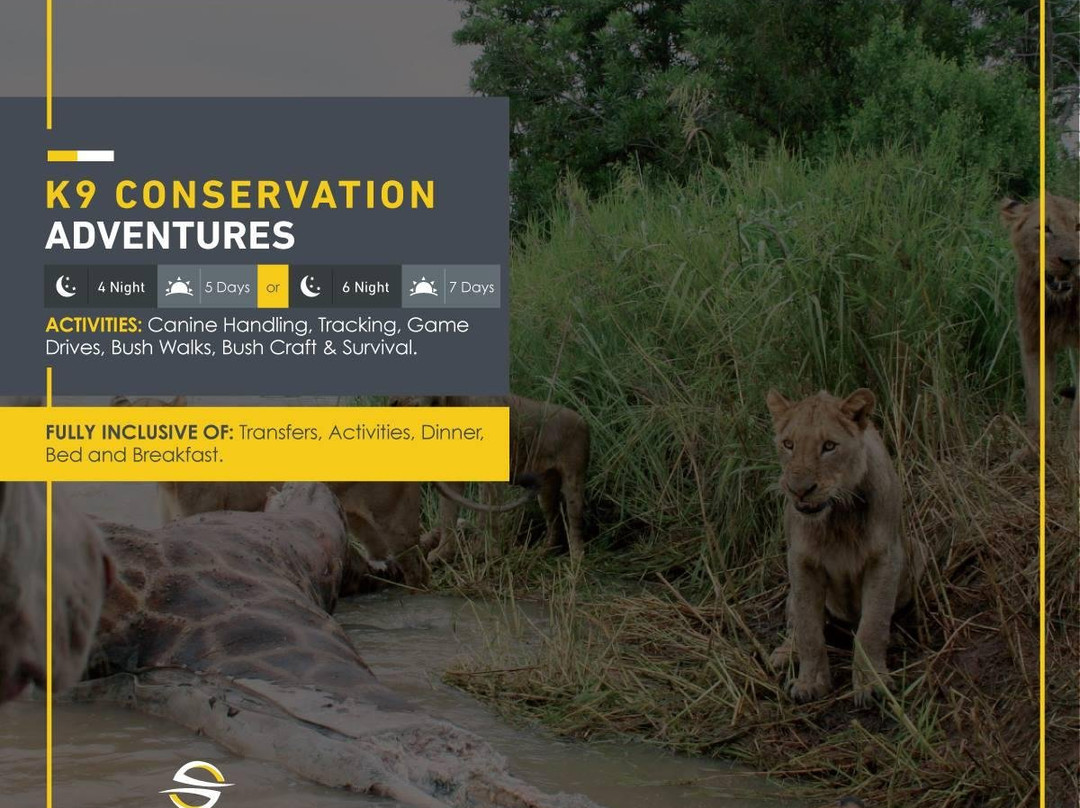 Safari Link Southern Africa景点图片