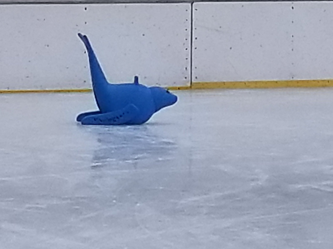 Merrifield Ice Rink-米沙沃卡必去景点