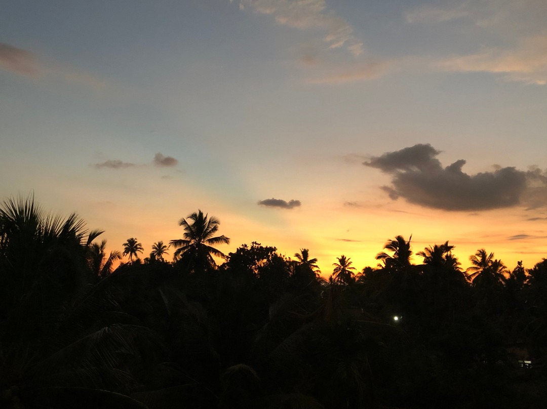 Gintota酒店住宿-Elephant Max