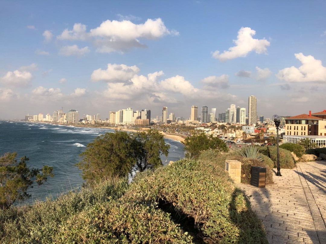 SANDEMANs NEW Europe - Tel Aviv景点图片