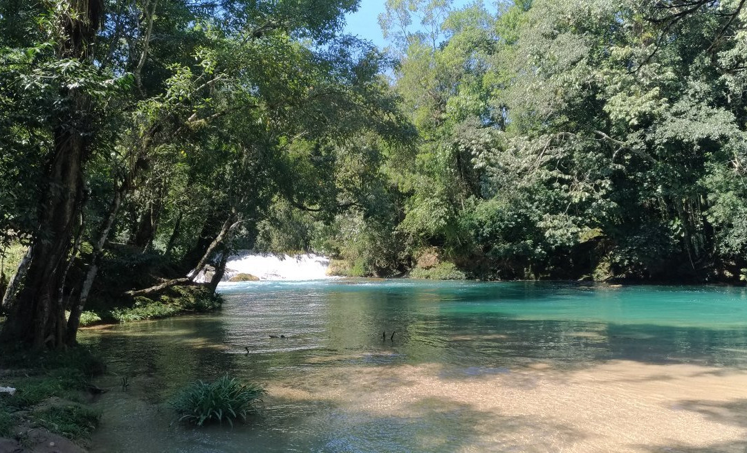 Cascadas de Agua Azul景点图片