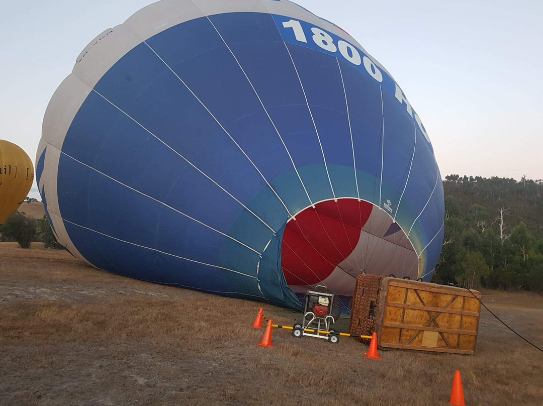 Blue Skies Ballooning-Dixons Creek必去景点