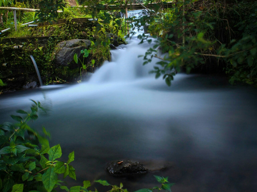 Sesaot Forest-马塔兰必去景点
