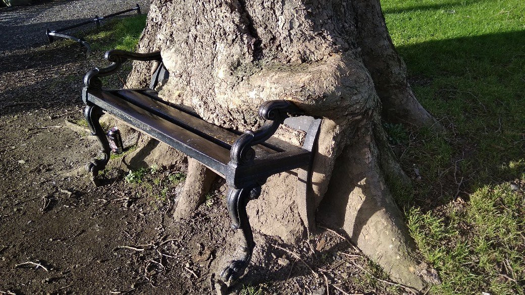 The Hungry Tree-都柏林必去景点