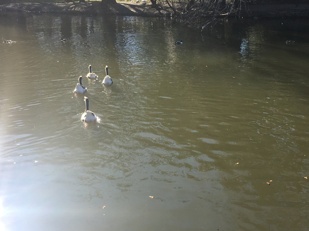Lakeside Park-Highland Park必去景点