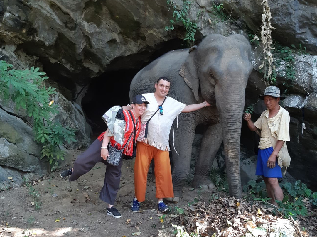 Elephant Steps Chiang Rai景点图片