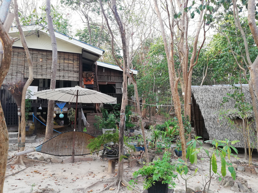 Noina's Mystic Mountain主图