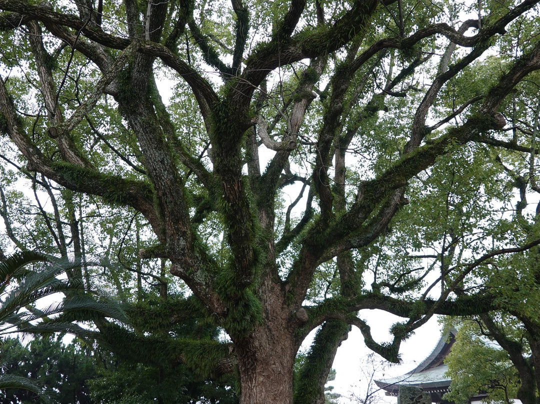 Ako Oishi Shrine-赤穗市必去景点