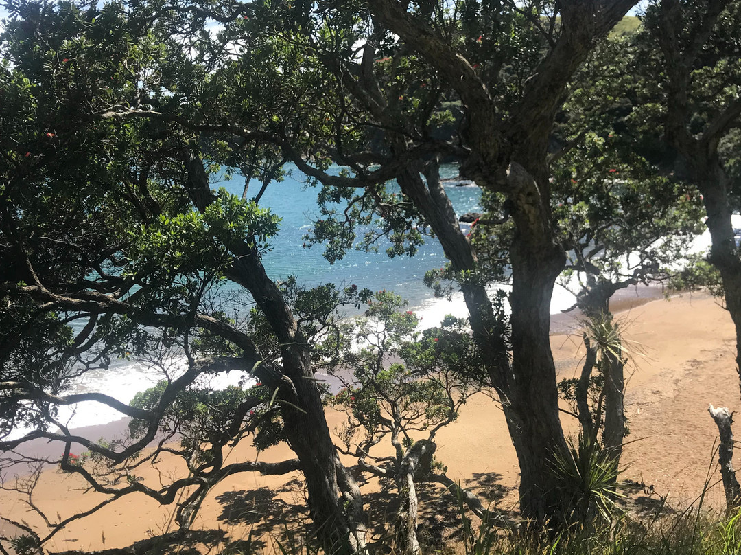 Waiwurrie Coastal Farm Lodge主图