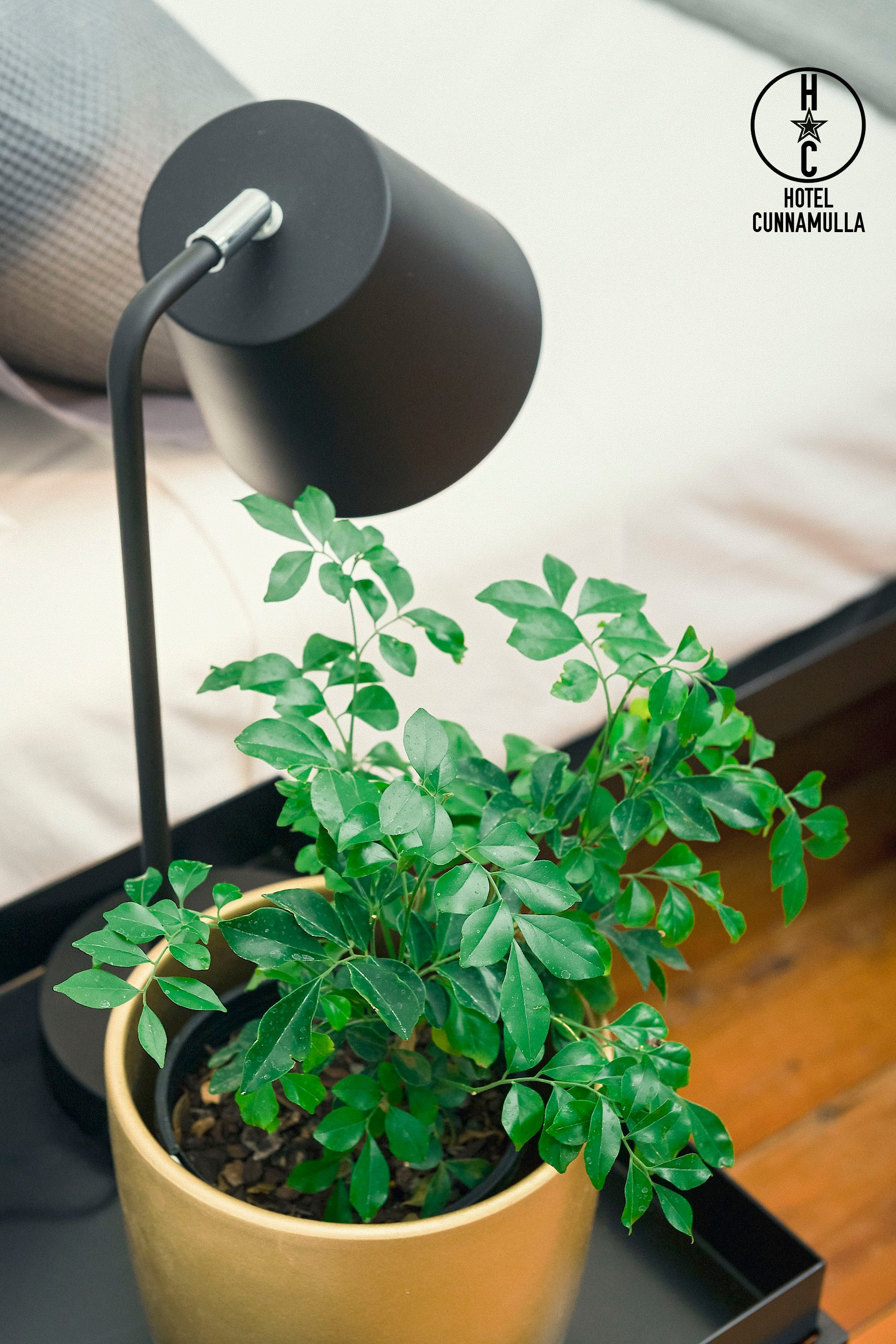 Hotel Cunnamulla Restaurant-官方