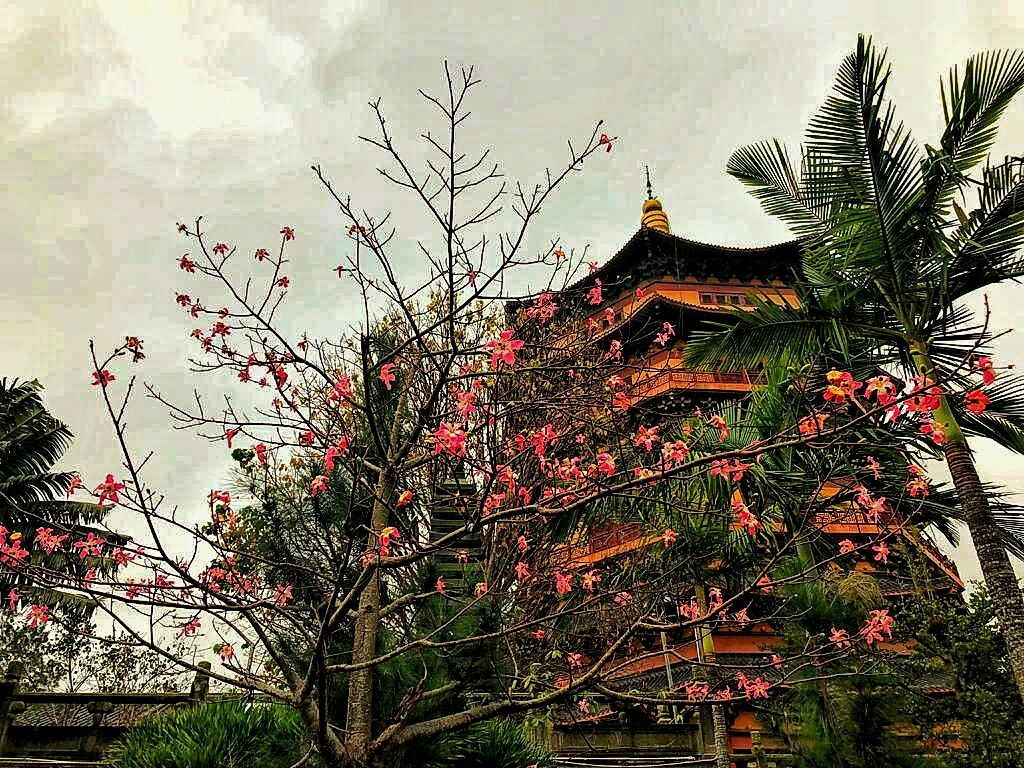 琼海博鳌东方文化苑-琼海市必去景点