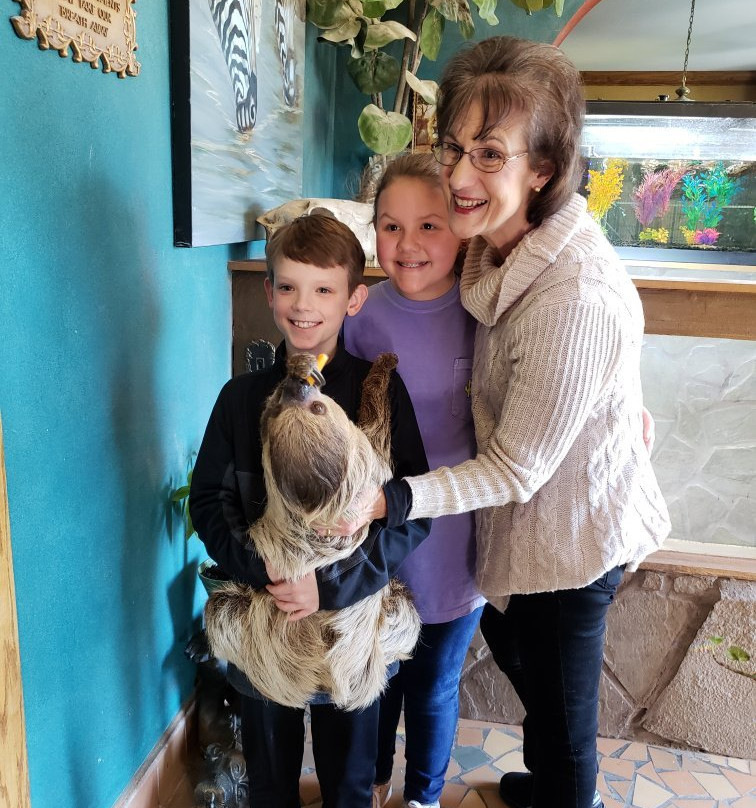 SafARI TAILS - Teaching about Animals In Live Shows景点图片
