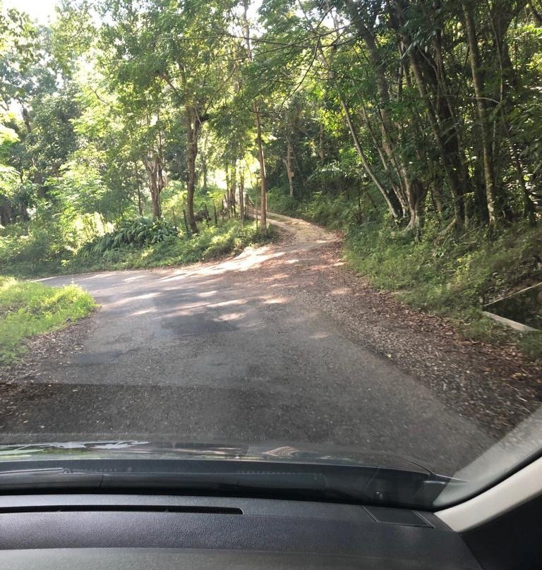 Accompong Village-Santa Cruz必去景点