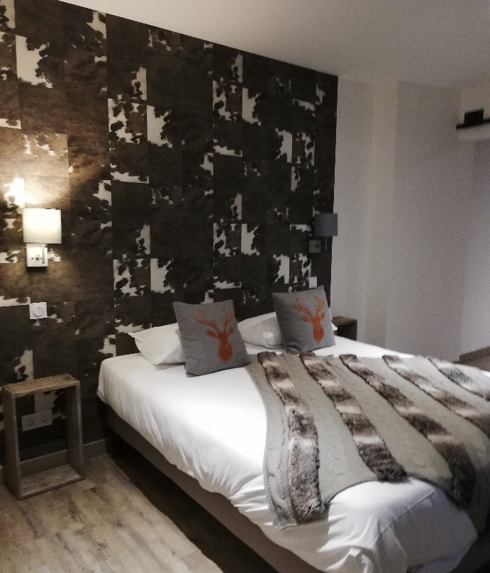Logis Hôtel Burnichon主图