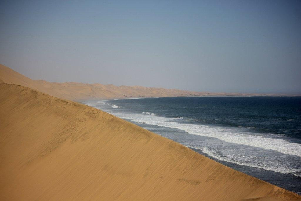 Dolphin Tours Namibia Eco Friendly Desert Tours-华维斯湾必去景点