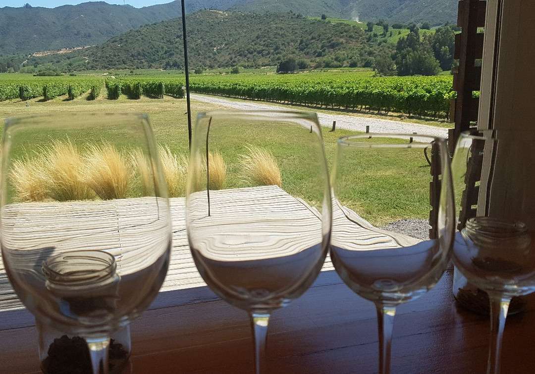 Vina Las Ninas-圣克鲁斯必去景点