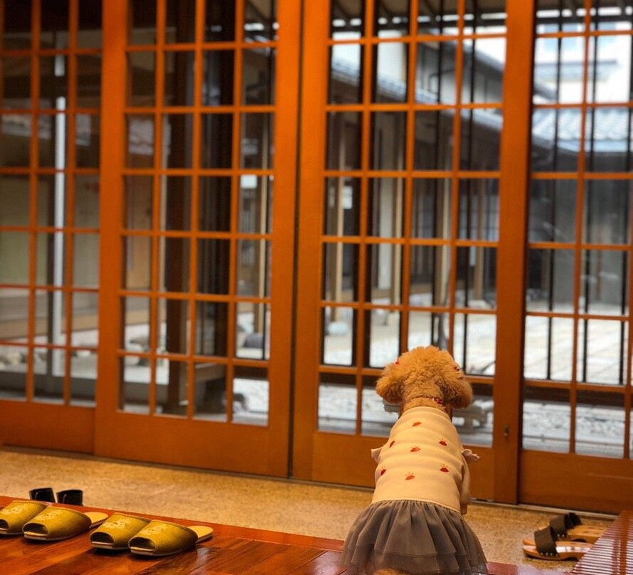 西谷屋 海华主图