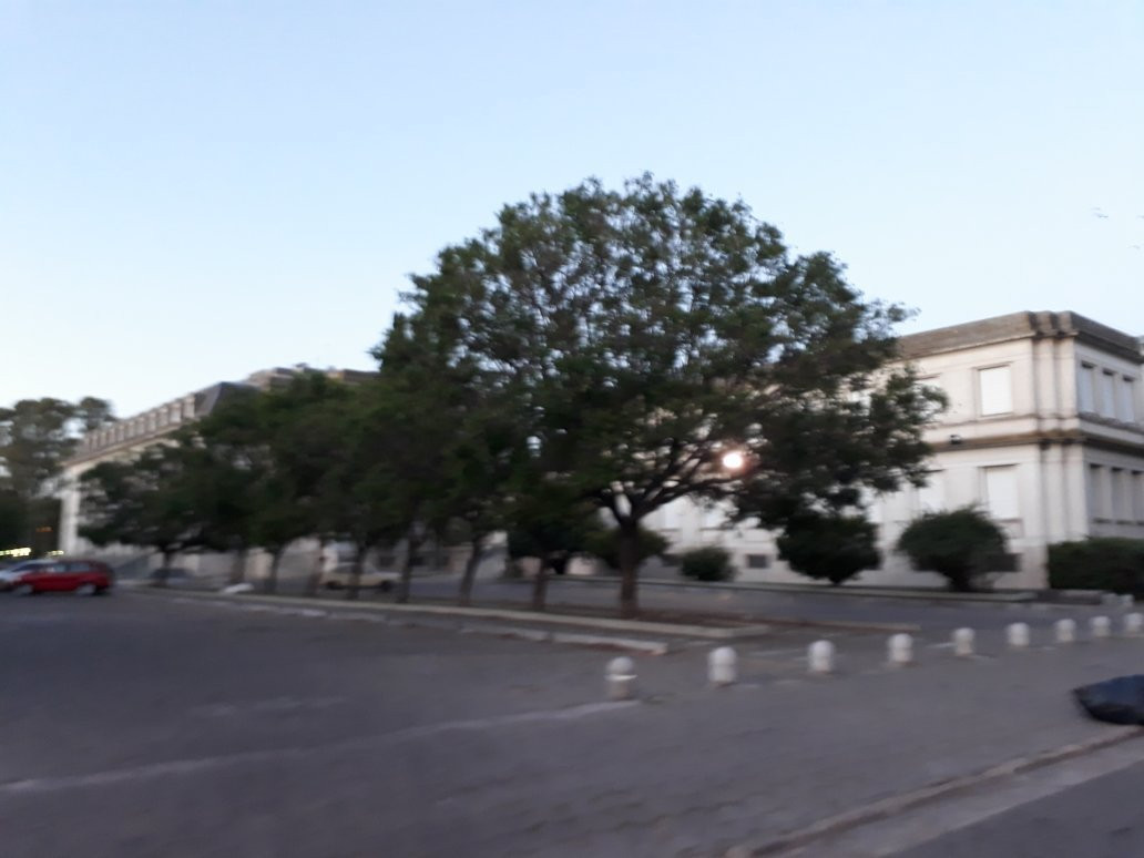 Avenida Alem-Bahia Blanca必去景点