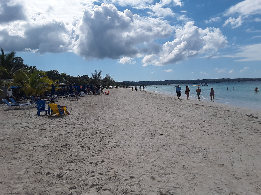 Phillip's Jamaica Tours景点图片