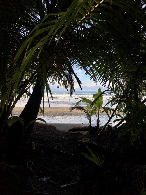 Casa Marea Alta主图